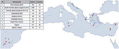 Population genomic analysis of the greater amberjack (Seriola dumerili) in the Mediterranean and the Northeast Atlantic, based on SNPs, microsatellites, and mitochondrial DNA sequences